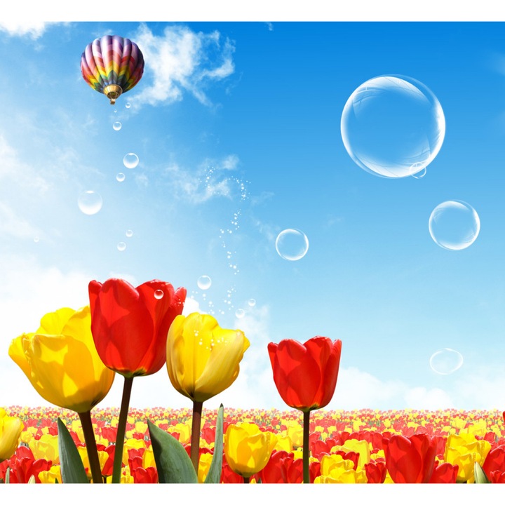 Tablou canvas Zbor peste camp de lalele (45 x 30 cm)