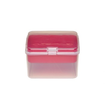 Recipient BabyPicnic 500+250 ml Bebedue Roz BBD_80216-02 Recipient BabyPicnic 500+250 ml Bebedue Roz BBD_80216-02