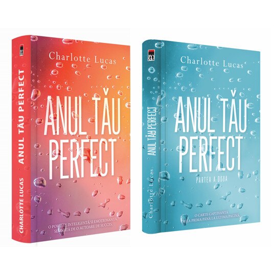 Anul tau perfect (set) - Charlotte Lucas