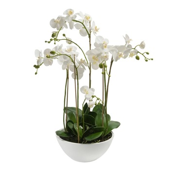 Planta artificiala tip orhidee, Emerald, Plastic, Alb, 80 cm Planta artificiala tip orhidee, Emerald, Plastic, Alb, 80 cm
