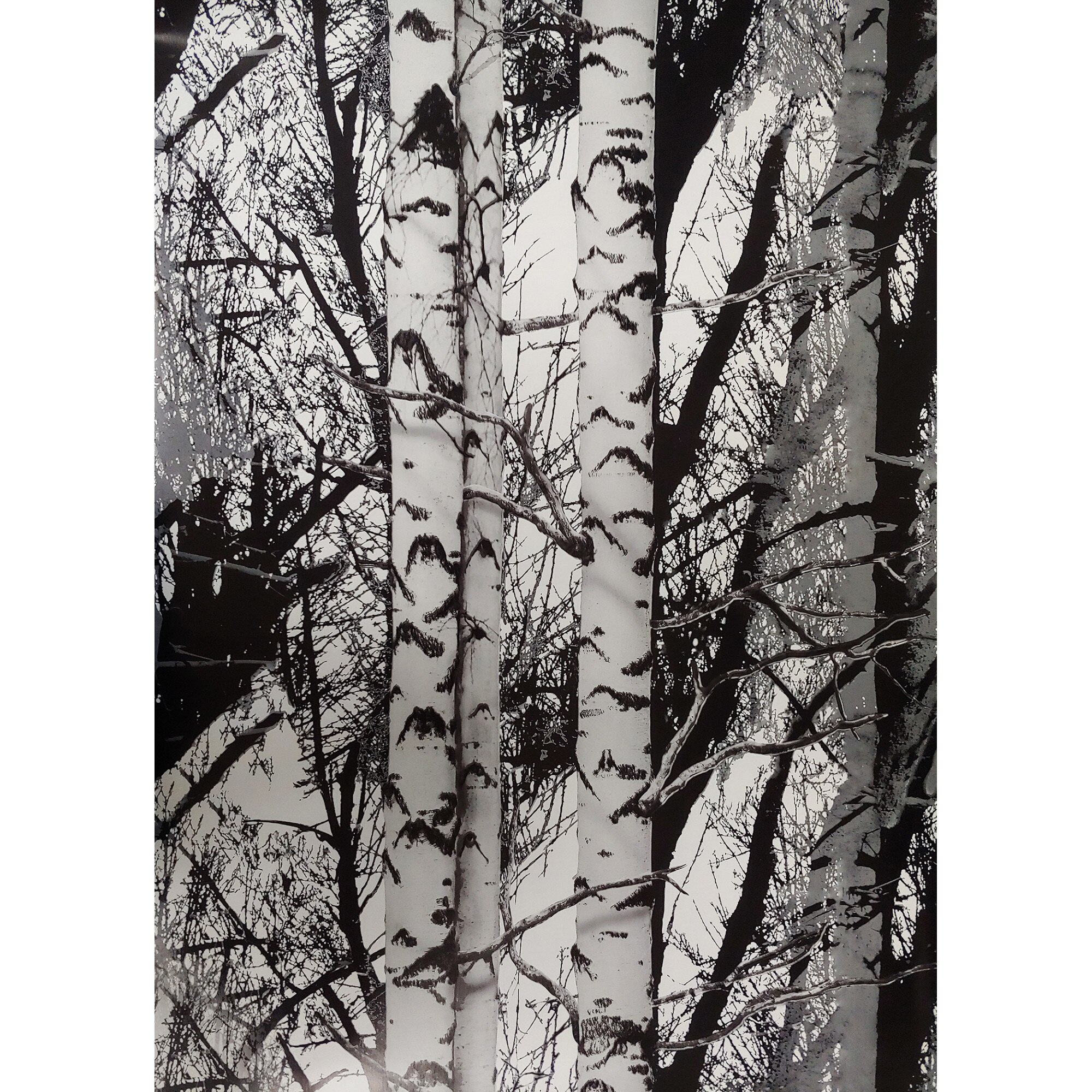 Folie decorativa autoadeziva pentru mobilier, D-c-Fix, Alb/Negru, 45 cm x 50 cm