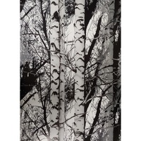 Folie decorativa autoadeziva pentru mobilier, D-c-Fix, Alb/Negru, 45 cm x 50 cm