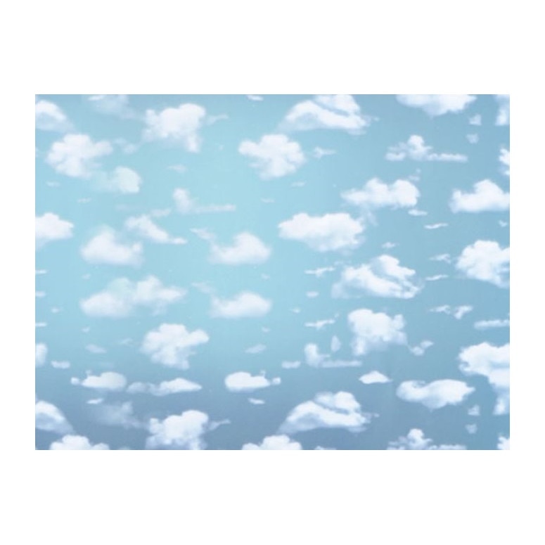 Folie adeziva pentru geam Gekkofix R5, 45 x 50cm, Model Nori