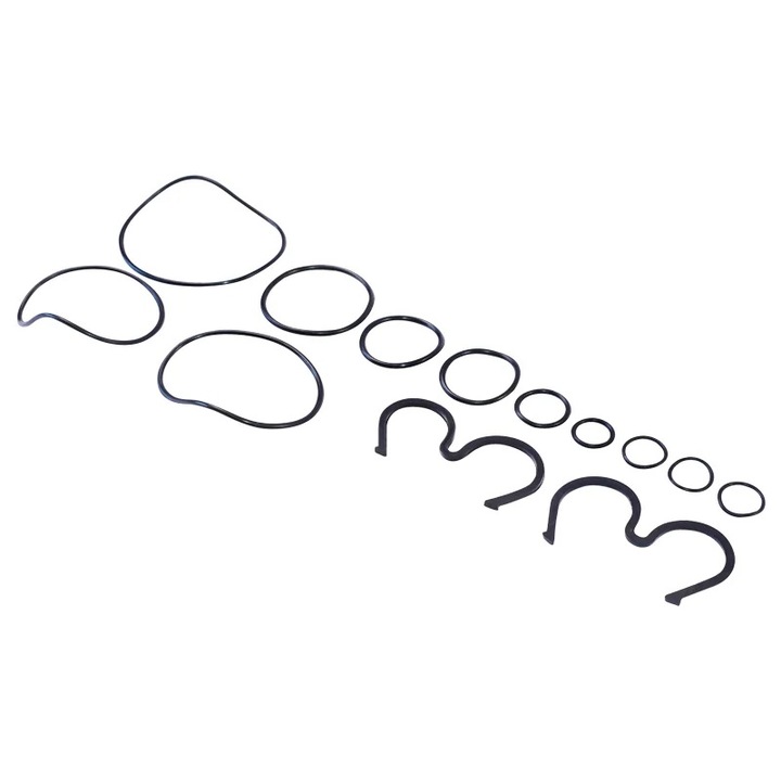 Garnituri pompa hidraulica H801 101.65.118