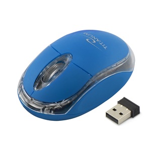 Mouse