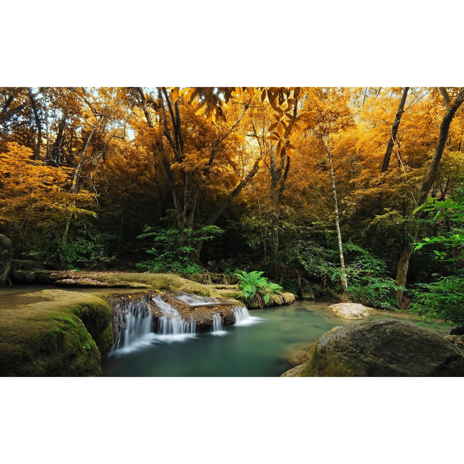 Tablou canvas Cascada si padure (45 x 30 cm)