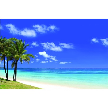 Fototapet Palmieri in briza marii (270 x 255 cm) Fototapet Palmieri in briza marii (270 x 255 cm)