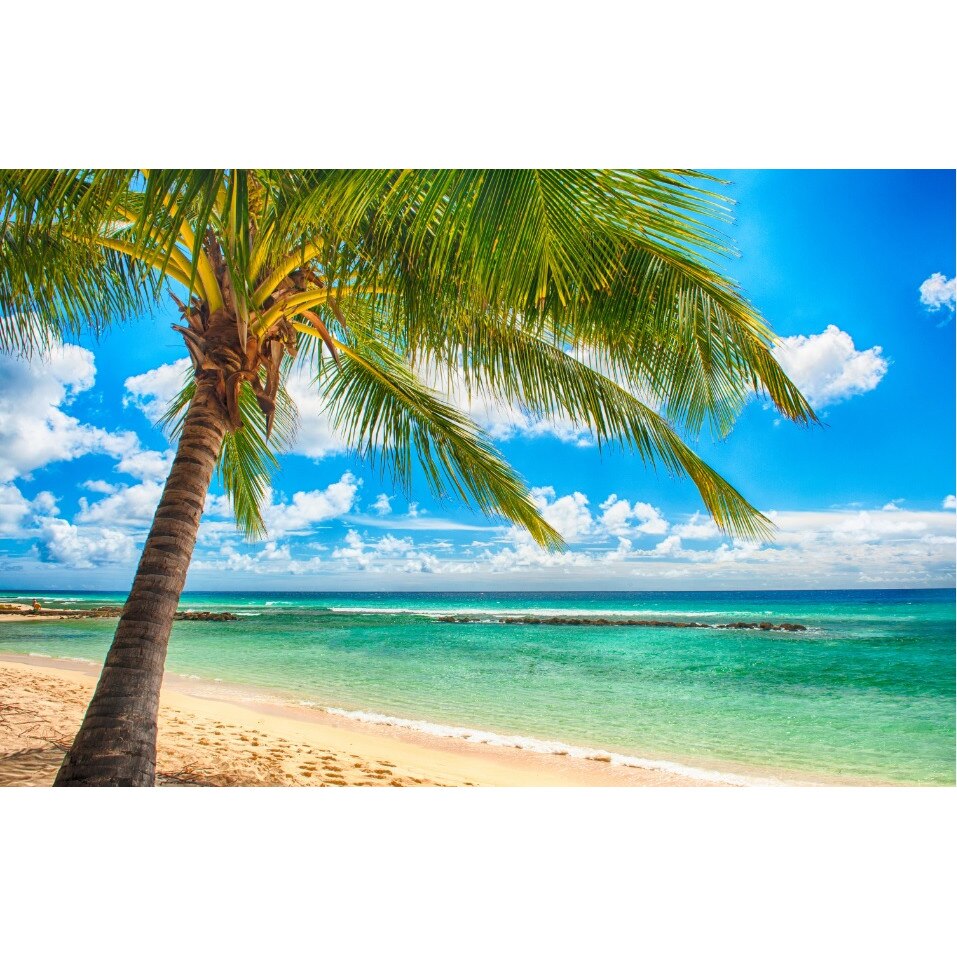 Fototapet de perete autoadeziv si lavabil Singur pe plaja 200 x 135 cm