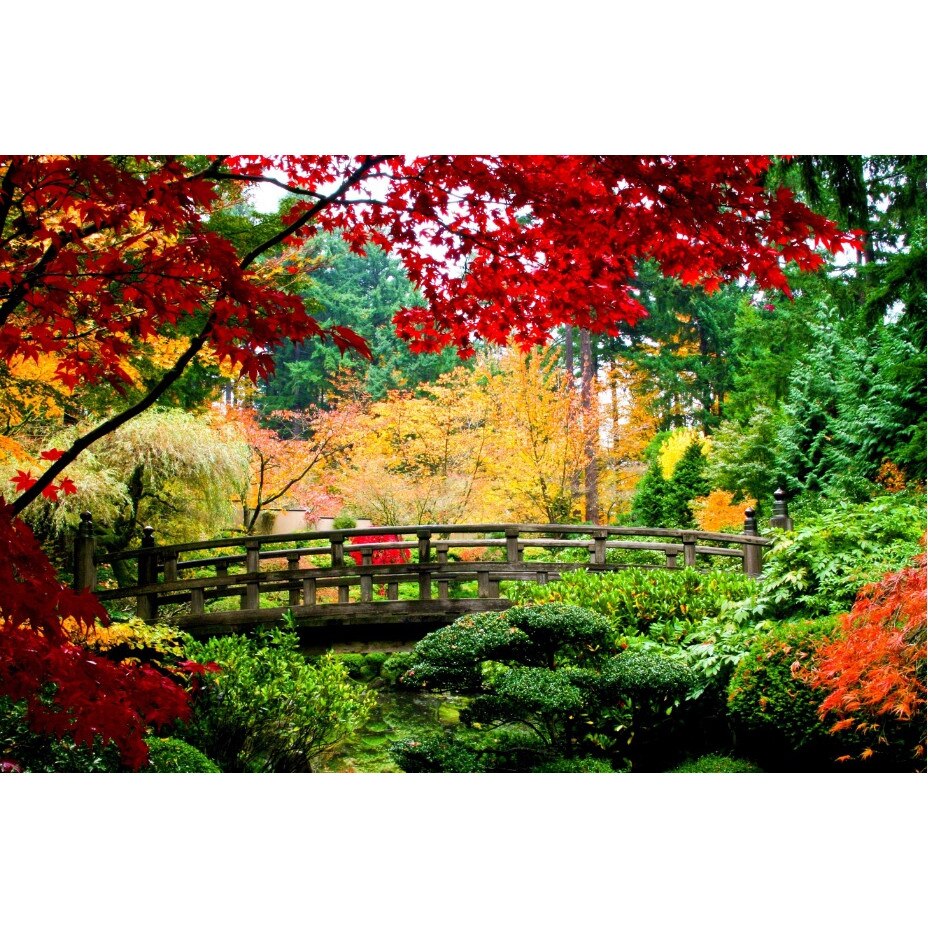 Tablou canvas Gradina din China (105 x 70 cm)