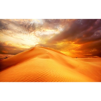 Fototapet din autocolant de perete Dune in desert 270 x 200 cm Fototapet din autocolant de perete Dune in desert 270 x 200 cm