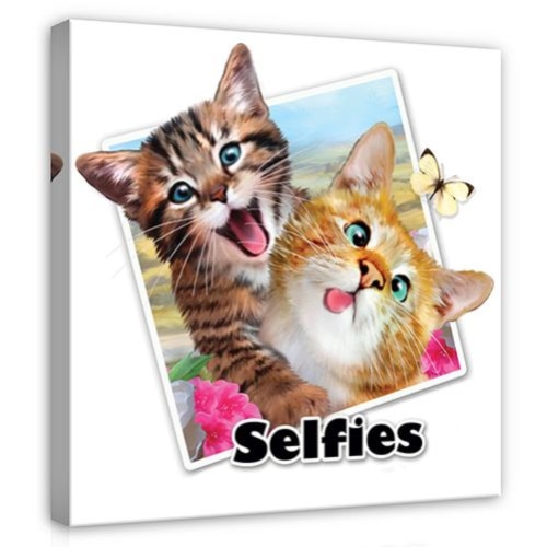Consalnet, Tablou Painting Selfies Funny Cats, 40 x 40 cm