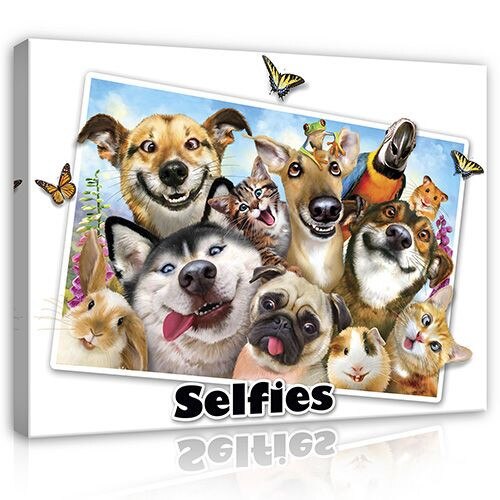 Tabou Consalnet Animal Selfies, Panza, 80 x 60 cm, Multicolor