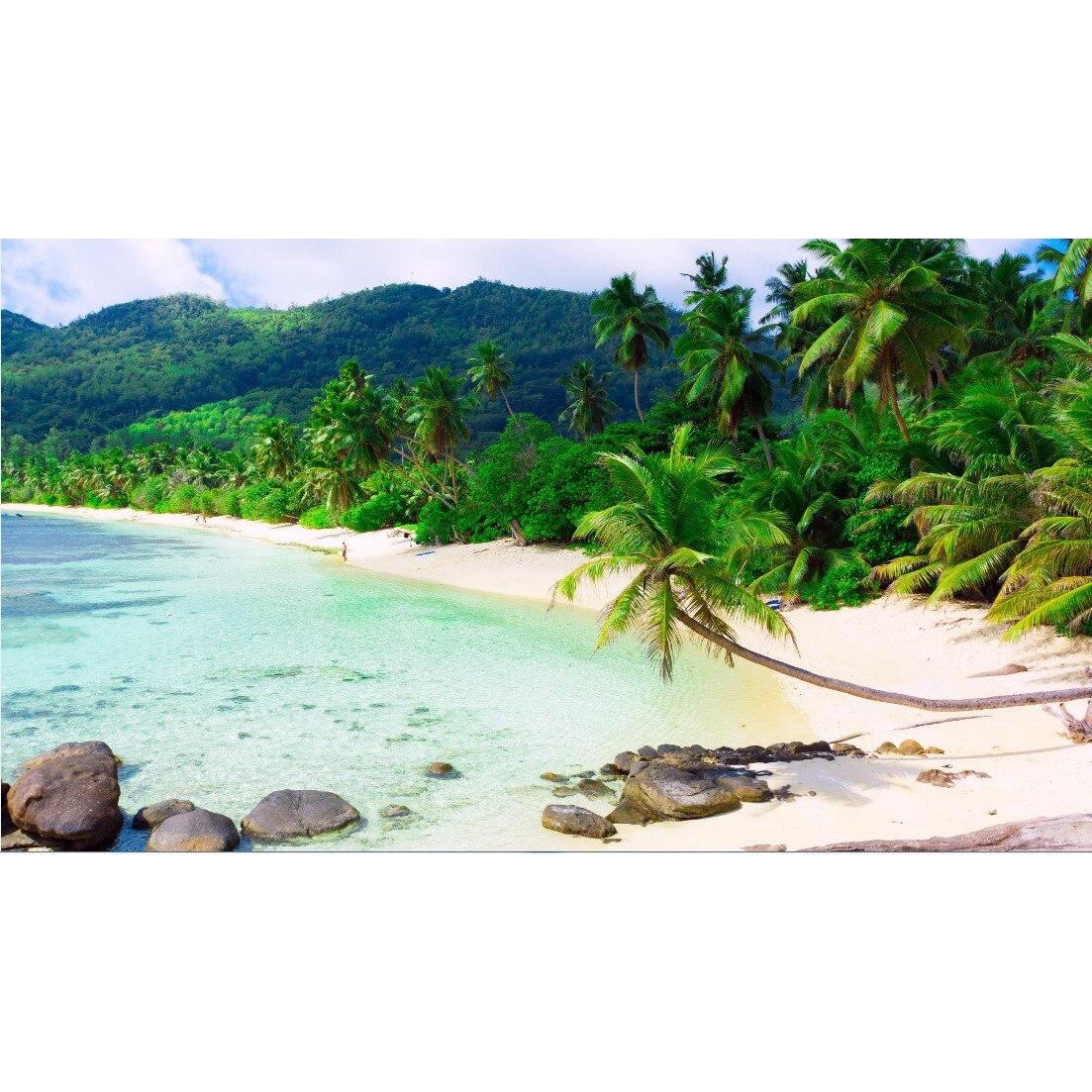 Tablou canvas Paradis tropical (60 x 40 cm)