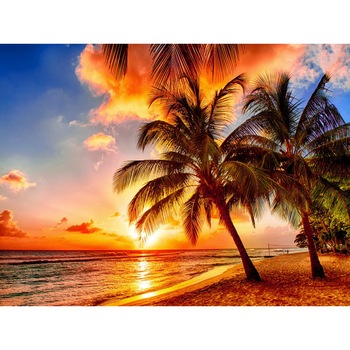 Fototapet din autocolant de perete Palmier in apus 200 x 135 cm Fototapet din autocolant de perete Palmier in apus 200 x 135 cm