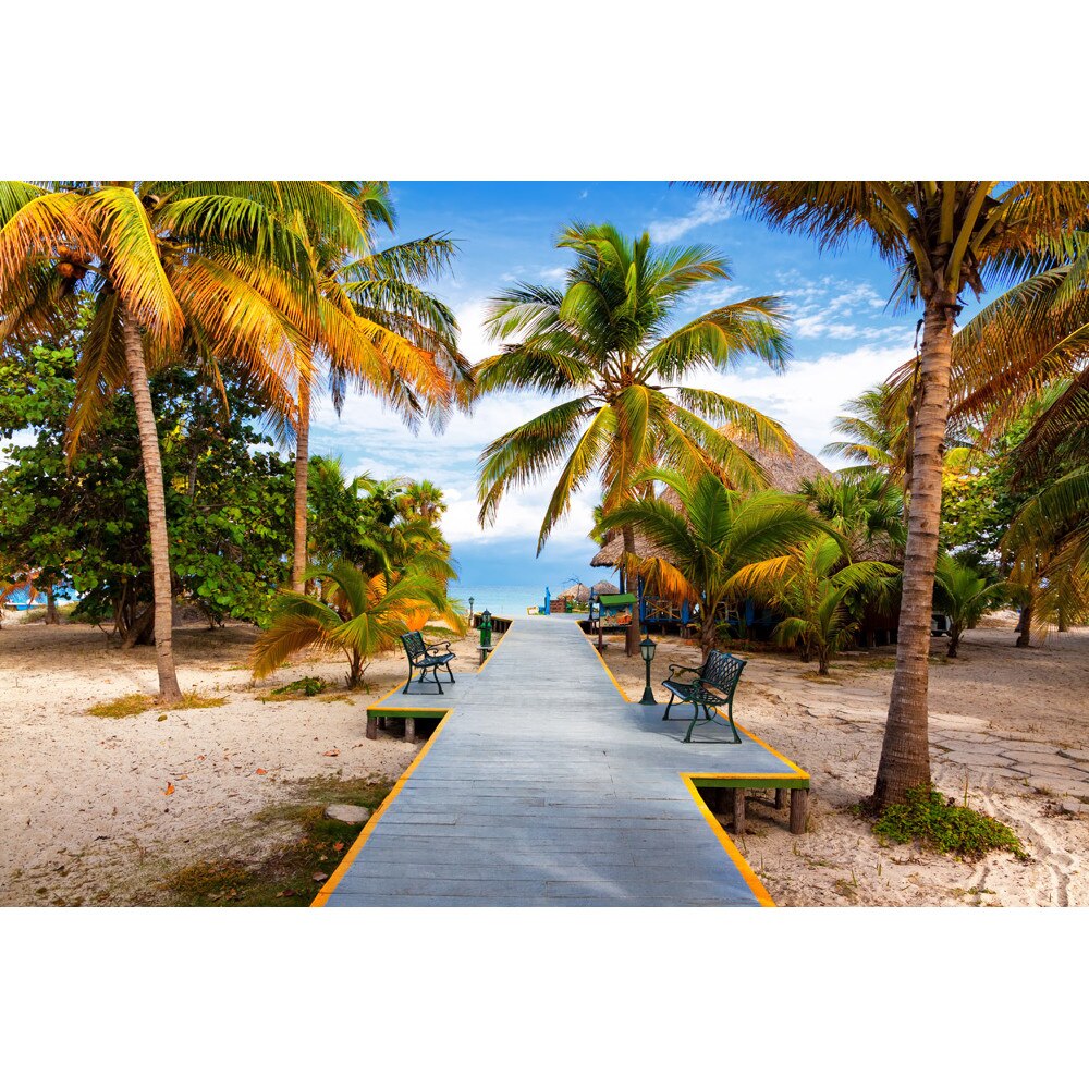 Tablou canvas Palmieri exotici (75 x 50 cm)