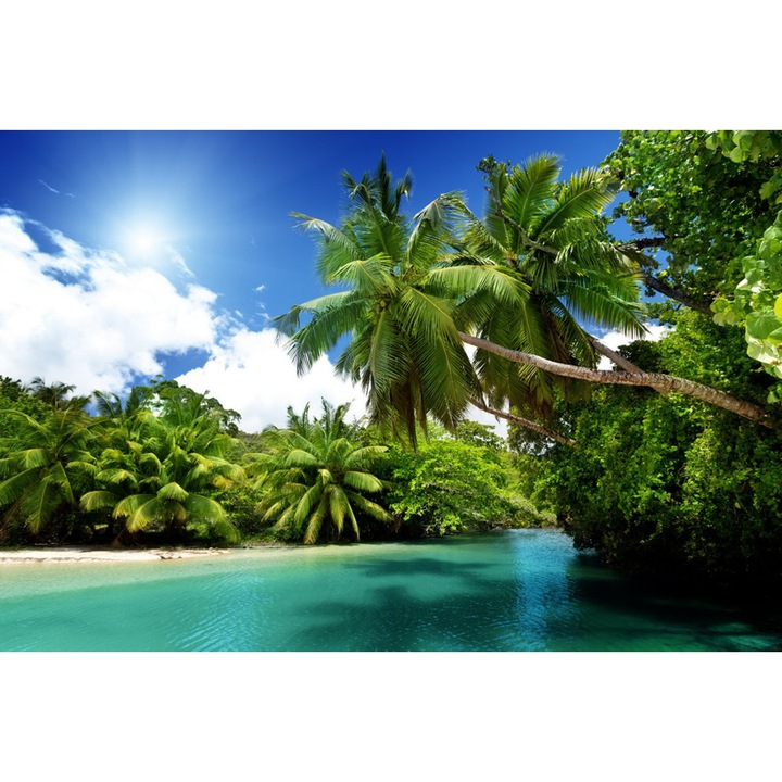 Fototapet Palmieri verzi 300 x 200 cm