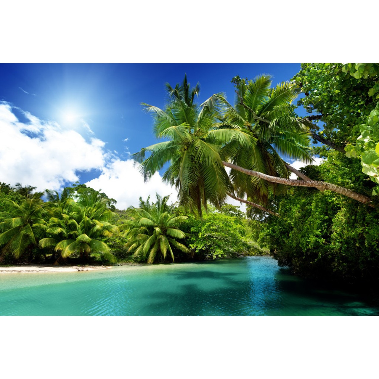 Tablou canvas Palmieri verzi (45 x 30 cm)