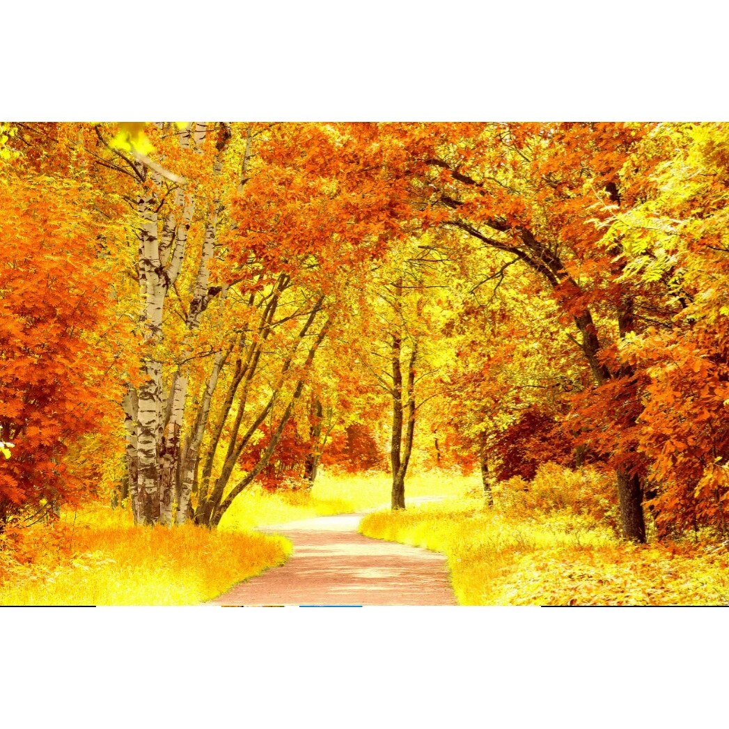 Tablou canvas Padurea aramie (45 x 30 cm)