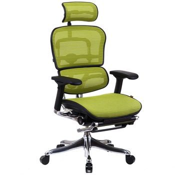 Scaun QMOBILI Ergohuman v2 Plus Elite LM Verde mesh 3D, suport picioare, tetiera 2D, suport lombar, brate reglabile 4D, sezut translabil Scaun QMOBILI Ergohuman v2 Plus Elite LM Verde mesh 3D, suport picioare, tetiera 2D, suport lombar, brate reglabile 4D, sezut translabil