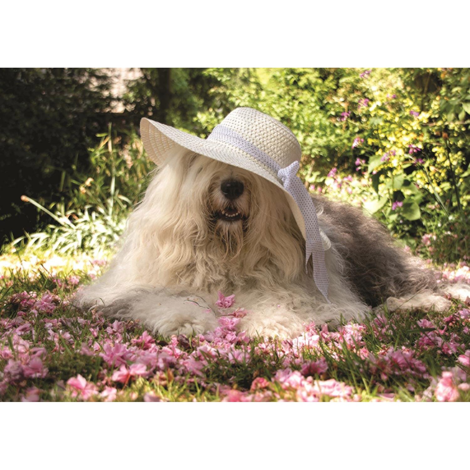 Puzzle Jumbo - Sophie in a Flower Bed, 500 piese (18530)