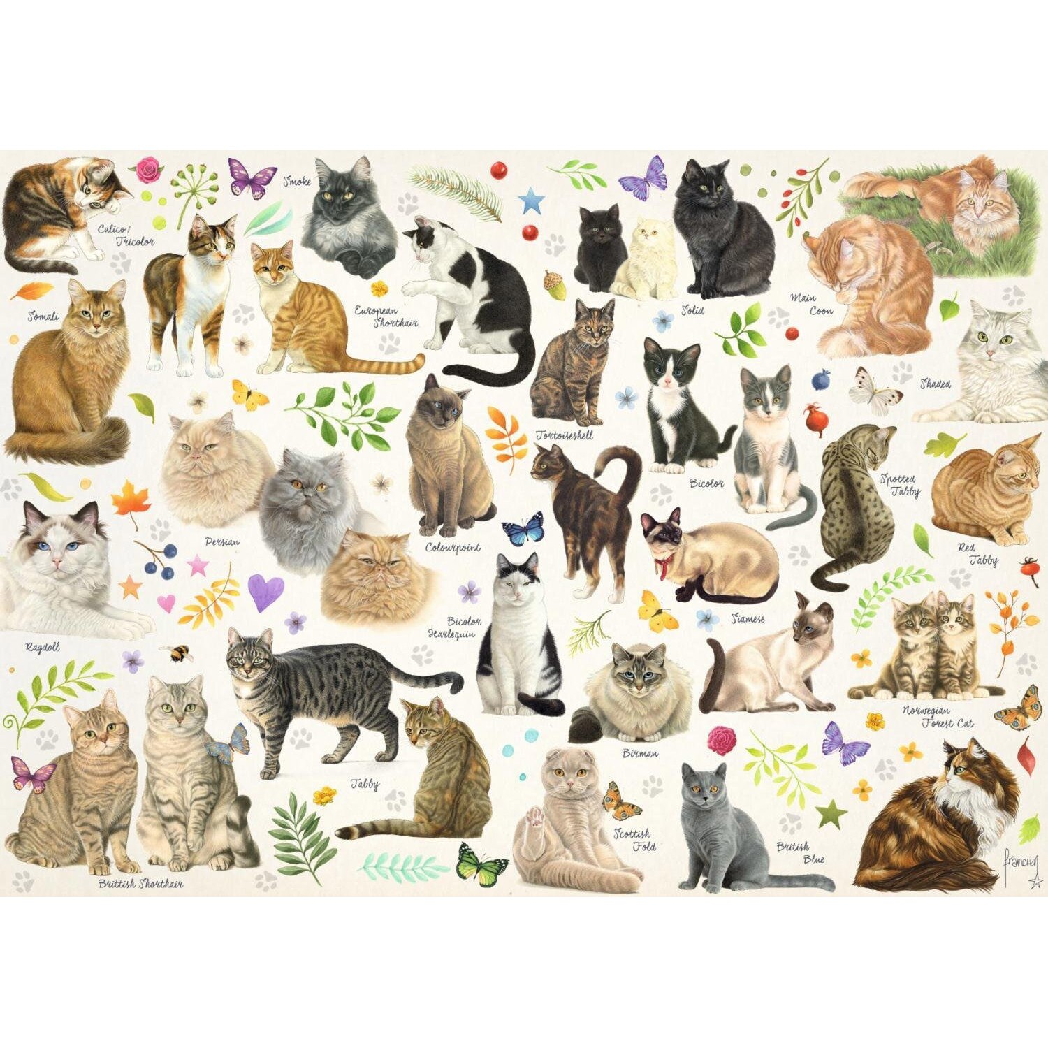 Puzzle Jumbo - Cats Poster, 1.000 piese (18595)