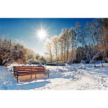 Tablou canvas Bancuta in zapada, 105 x 70 cm Tablou canvas Bancuta in zapada, 105 x 70 cm