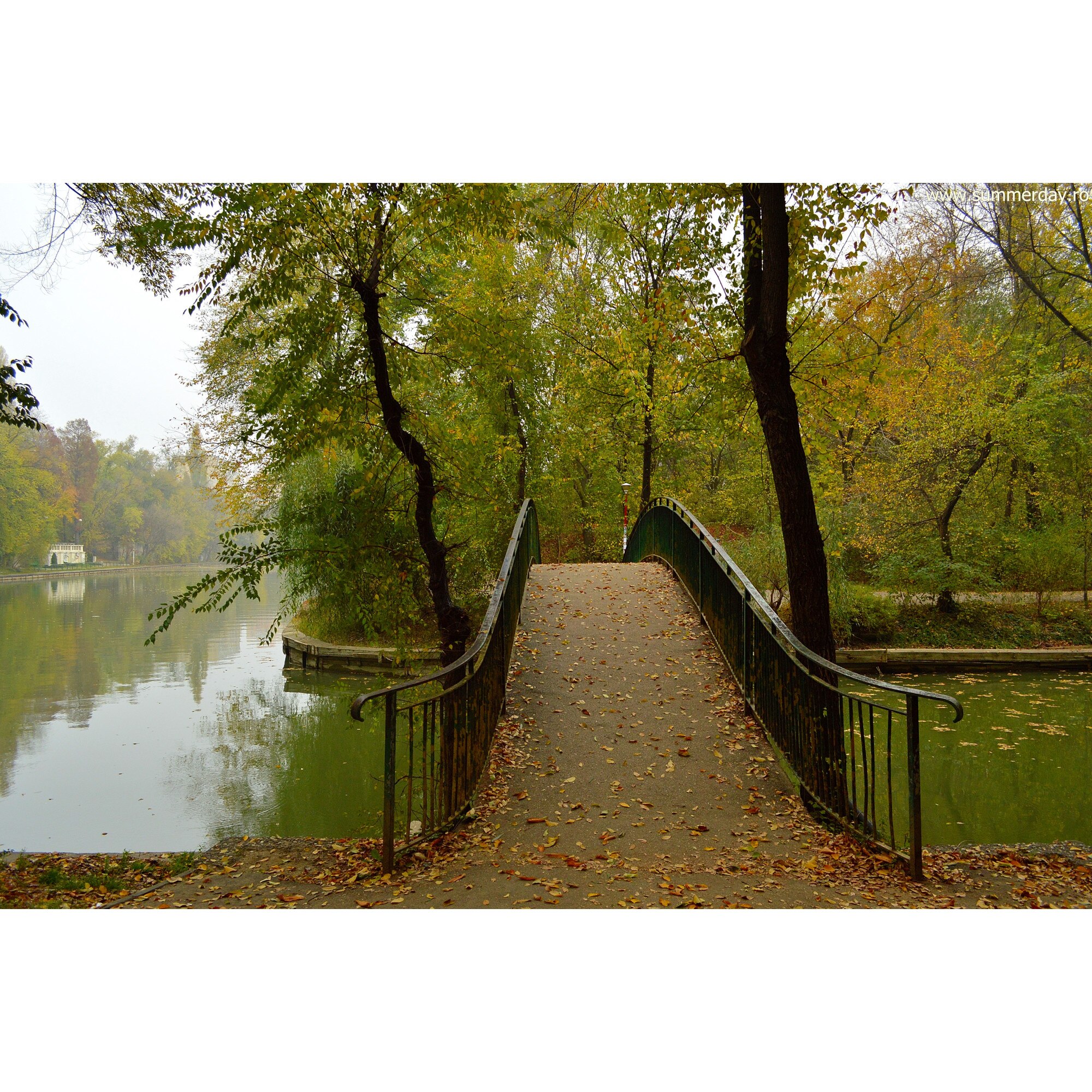 Tablou canvas In parc toamna, 90 x 60 cm