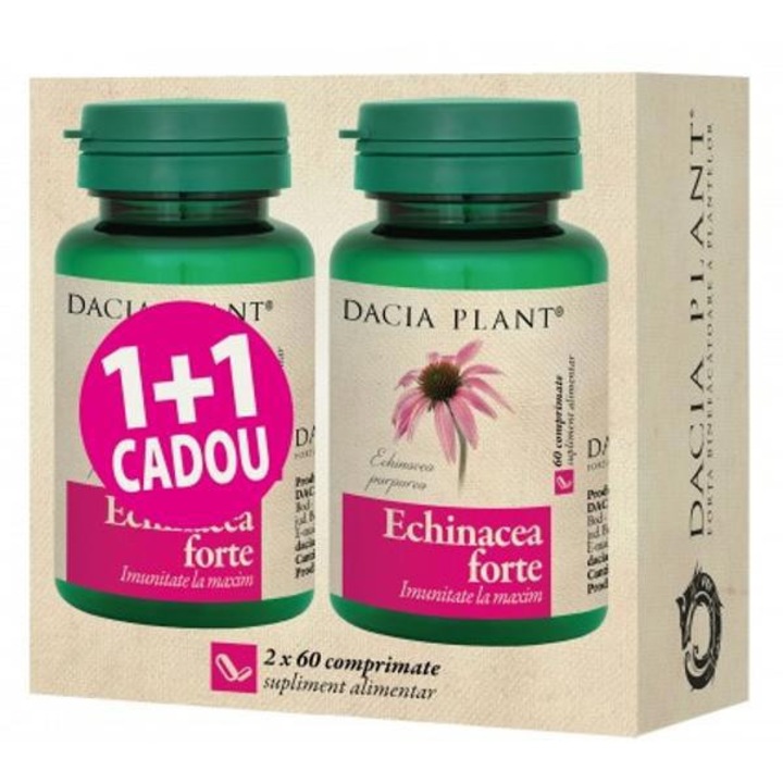Echinacea forte 1+1 CADOU, 2 x 60 cp, Dacia Plant