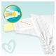 Pampers Premium Care Pelenka, 4-es Méret (Maxi), 104 db