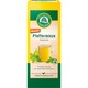 Ceai de menta Demeter x20 plicuri bio, 30g, Lebensbaum