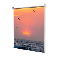Rolete Art Shade Multicolore tip Jaluzele cu Rulou si sistem inclus Peisaje Pasari zburatoare deasupra apei Decoratiuni, Latime 50 cm x Inaltime 130 cm