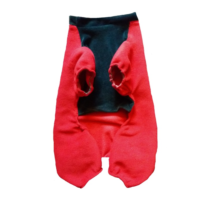 Trening JOGGING rosu 9XL