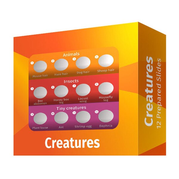 Preparate Levenhuk Labzz c12 Zoologie