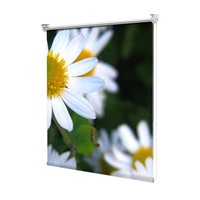 rolete art shade multicolore tip jaluzele cu rulou si sistem inclus flori margarete albe decoratiuni latime 65 cm x inaltime 130 cm imagen 52_0_
0
