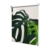 rolete art shade multicolore tip jaluzele cu rulou si sistem inclus flori floare de apartament decoratiuni latime 45 cm x inaltime 250 cm imagen 56_0_
0