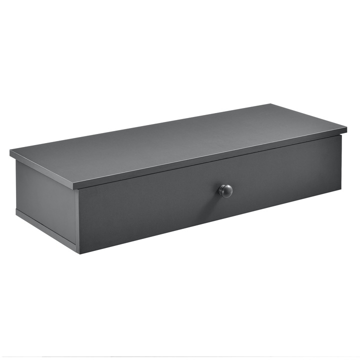 Raft de perete Infinity cu compartiment pentru depozitare, en.casa, 60 x 24 x 12,6 cm, PAL, gri inchis