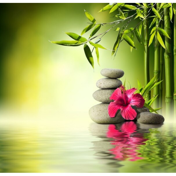 Tablou canvas patrat flori 5 (50 x 50 cm)