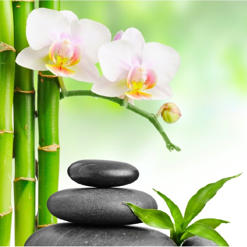 Tablou canvas patrat flori 11 (50 x 50 cm)