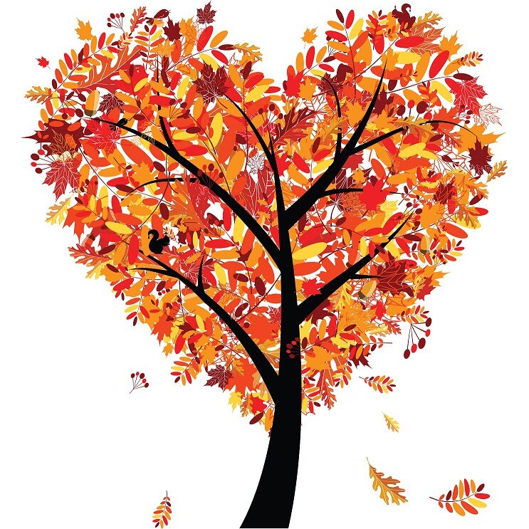 Tablou canvas patrat pomi 1 (50 x 50 cm)