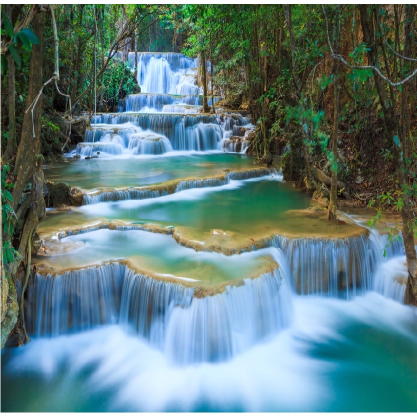 Tablou canvas patrat natura 4 (50 x 50 cm)