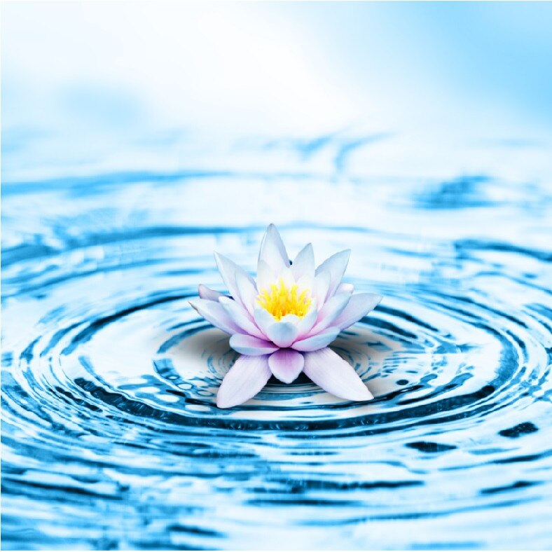 Tablou canvas patrat flori 12 (60 x 60 cm)