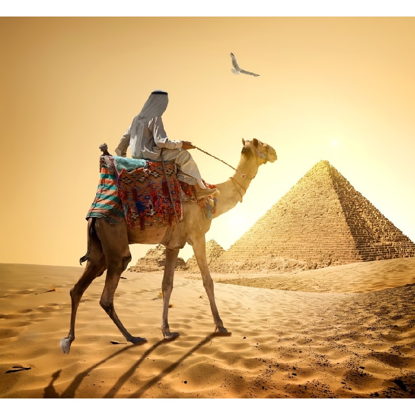 Tablou canvas patrat natura 3 (50 x 50 cm)