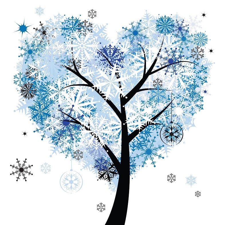 Tablou canvas patrat pomi 2 (50 x 50 cm)