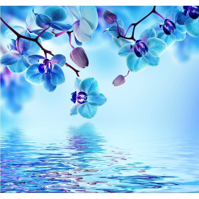 Tablou canvas patrat flori 23 (60 x 60 cm)