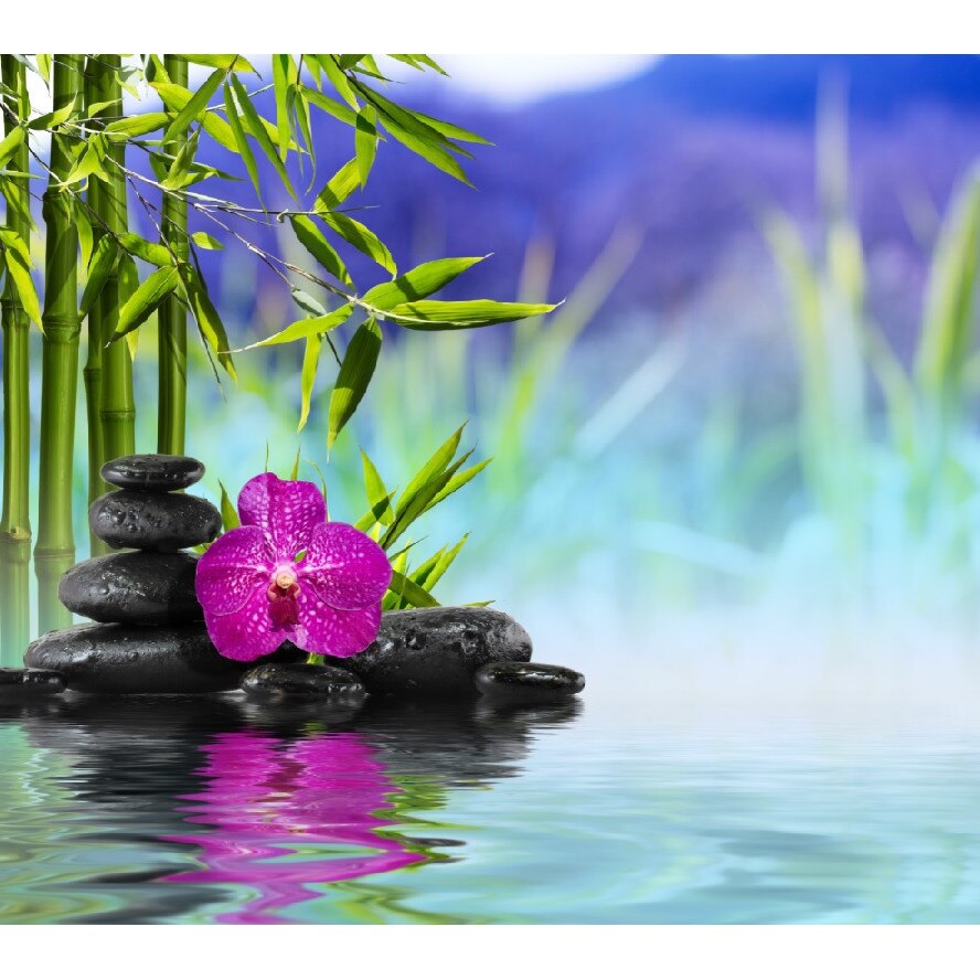 Tablou canvas patrat flori 4 (50 x 50 cm)