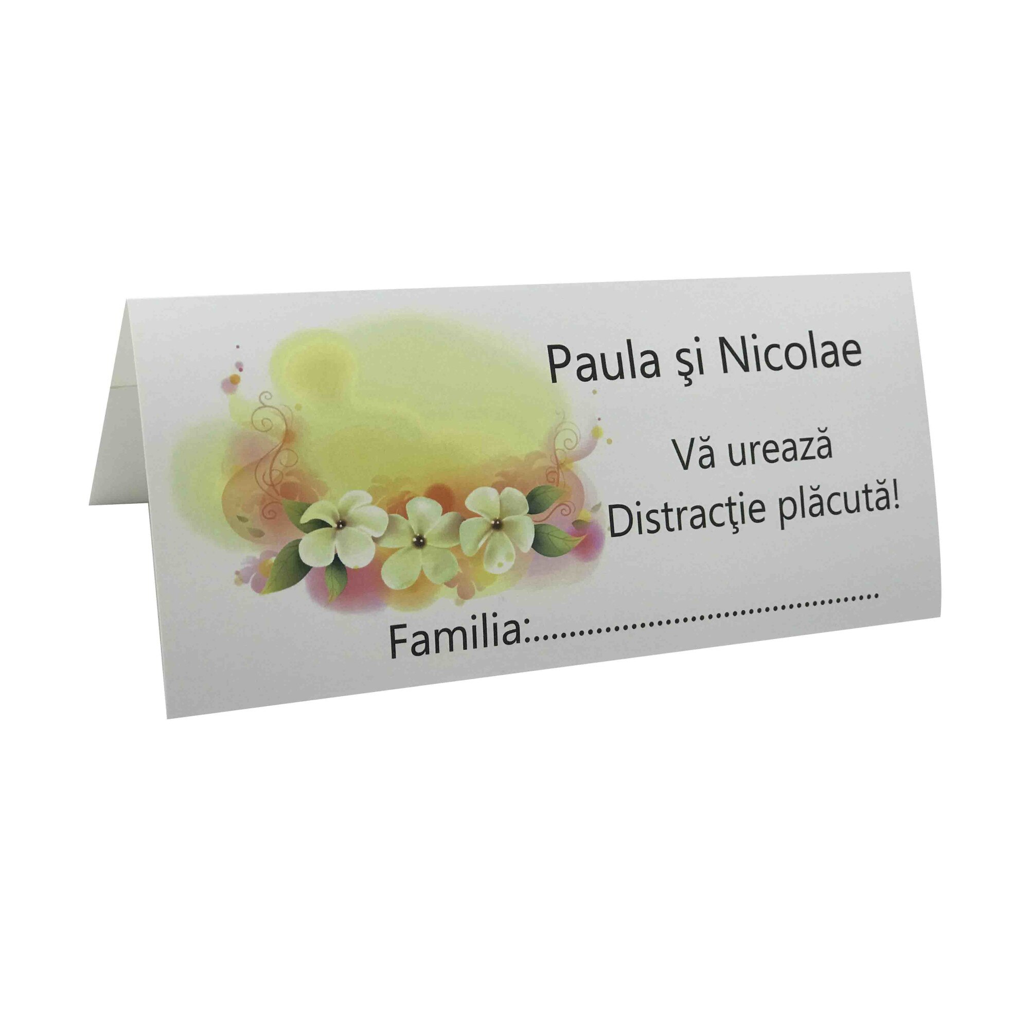 Plic de bani pentru nunta, PN1311, set 10 bucati