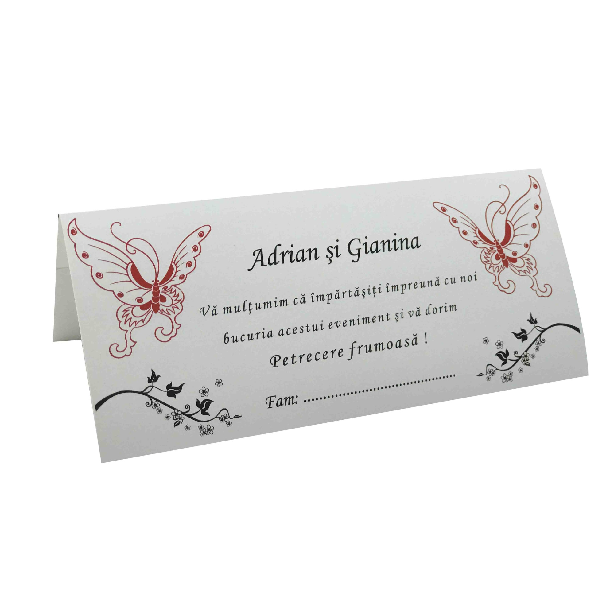 Plic bani pentru nunta, PN1305, set 10 bucati