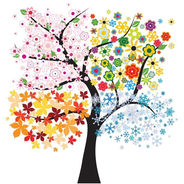 Tablou canvas patrat pomi 5 (50 x 50 cm)