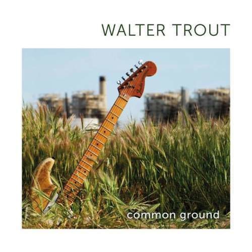 Walter Trout - Common Ground (CD)