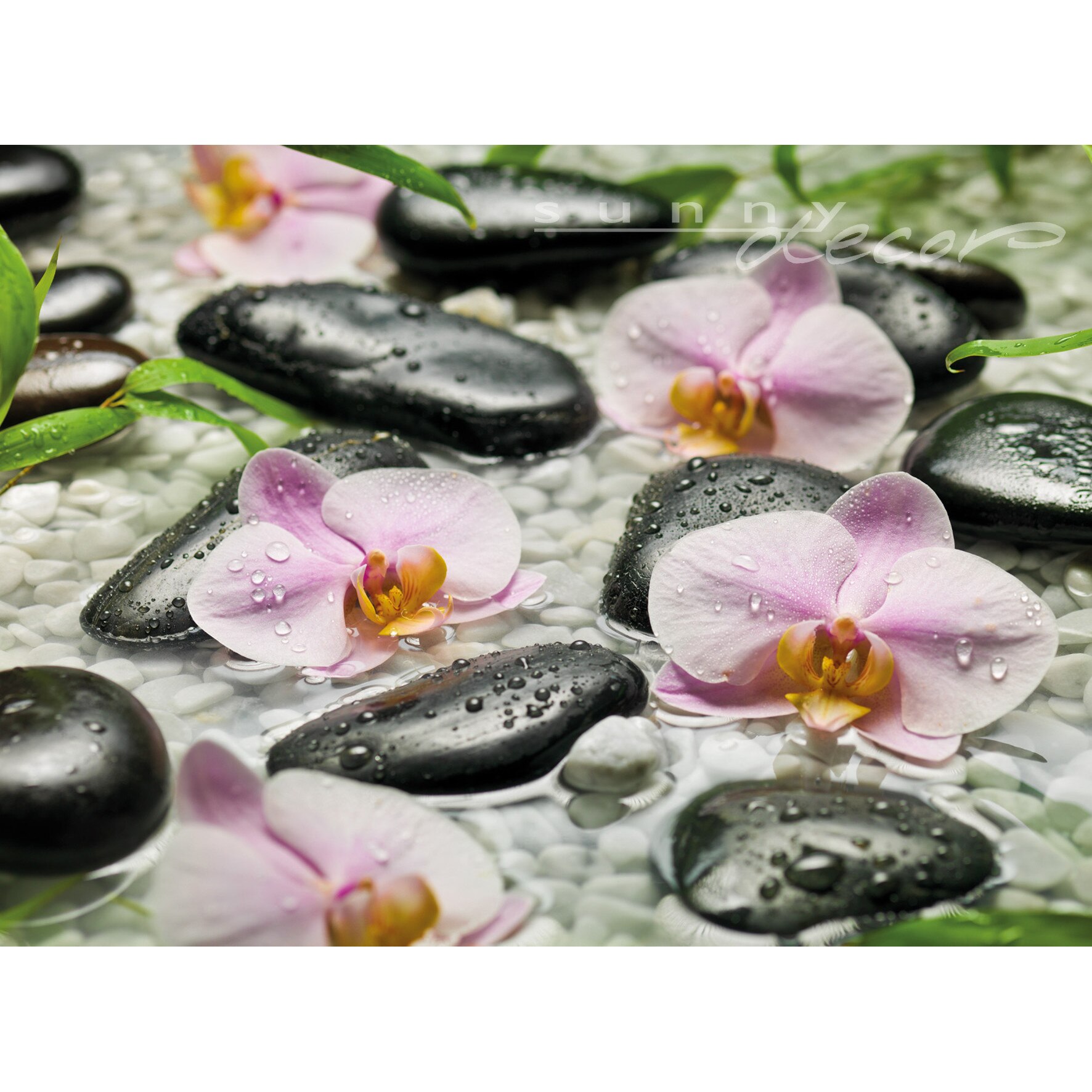 Fototapet Komar SD318, Wellness 254 x 184 cm